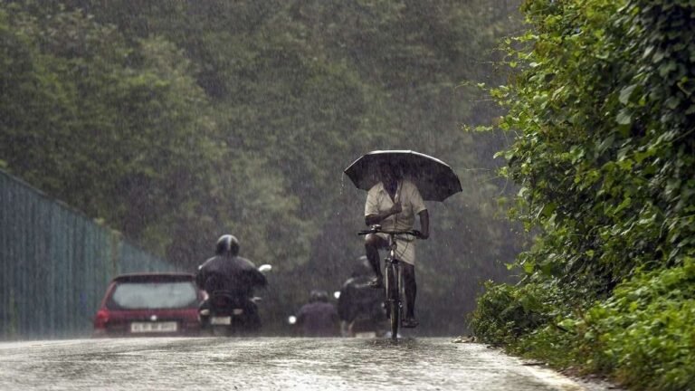 Heavy rains continue in Kerala: IMD sounds orange alert in two districts
