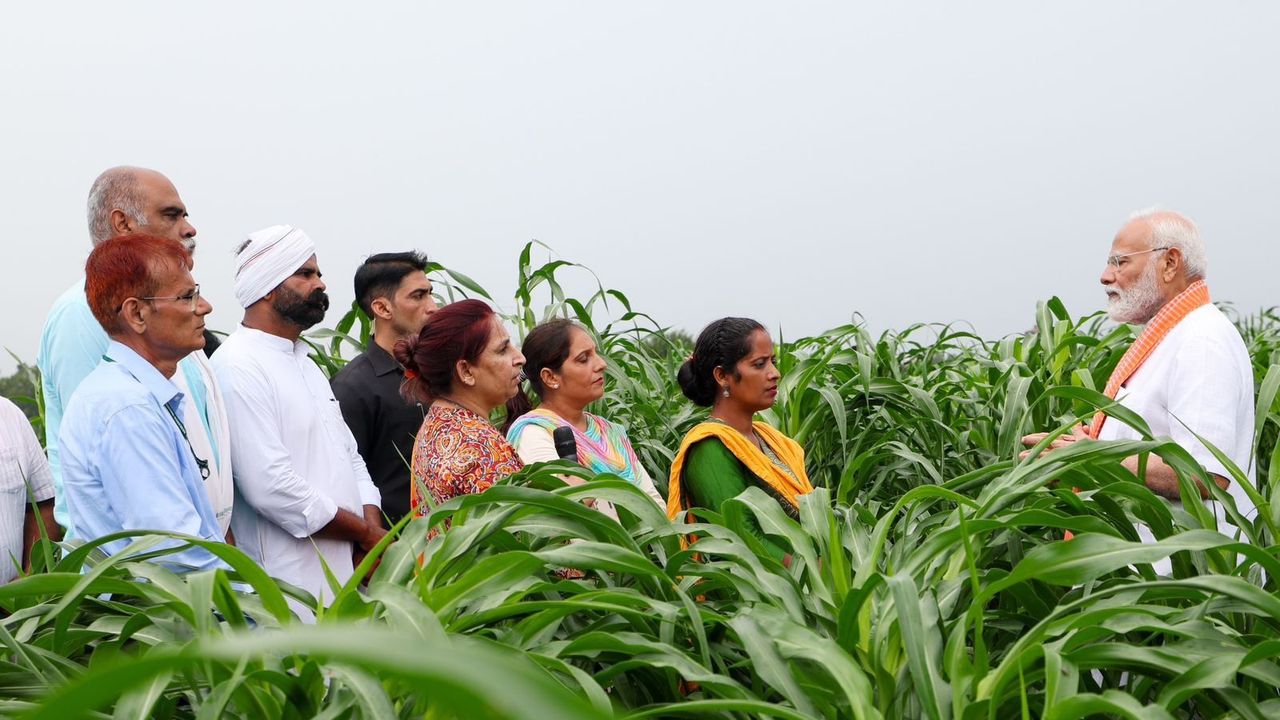 PM Modi releases climate-resilient seed varieties to increase productivity, farmers income