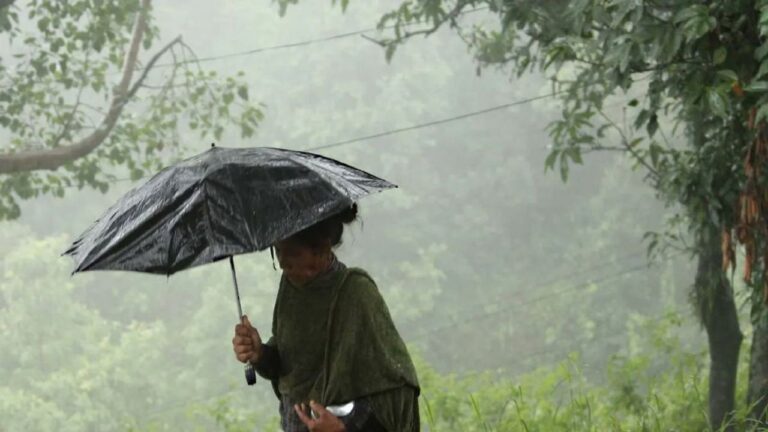 Heavy rains lash Kerala; IMD sounds orange alert in five districts