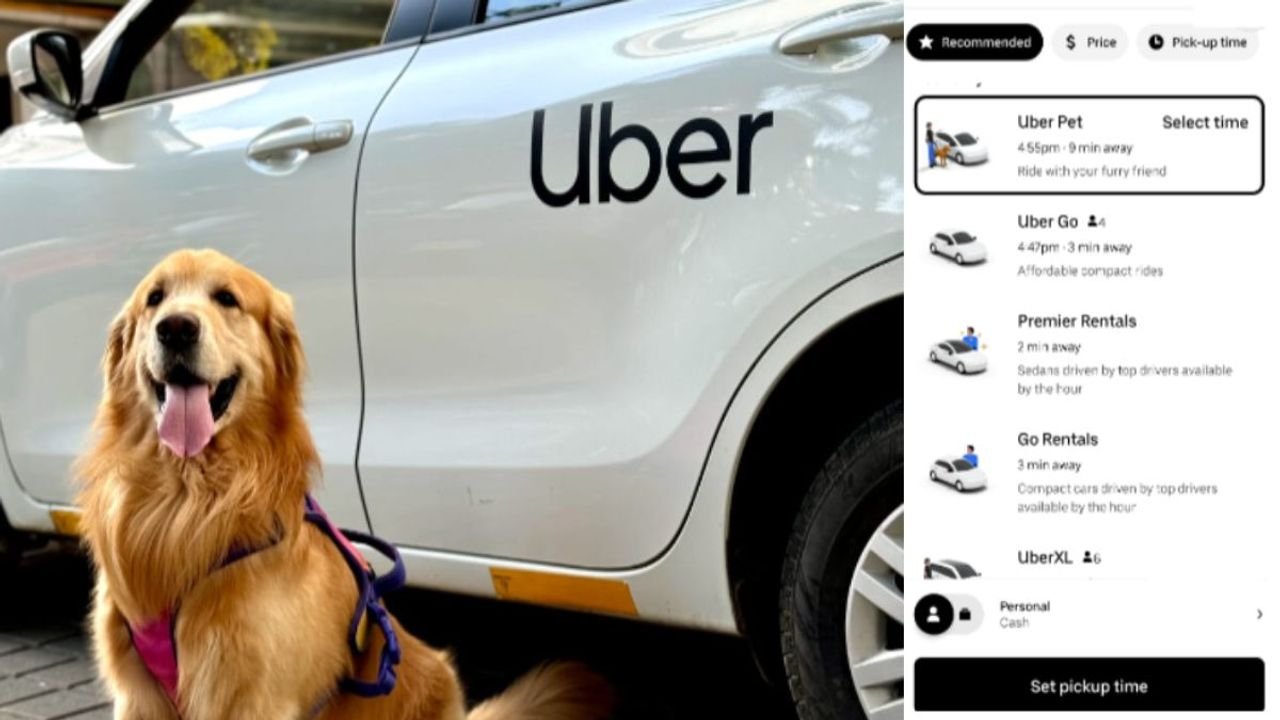 Uber launches Uber Pet in Bangalore, offering rides for pets and owners