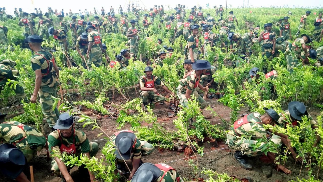 UP govt creates record by planting 36.51 crore saplings in a single day