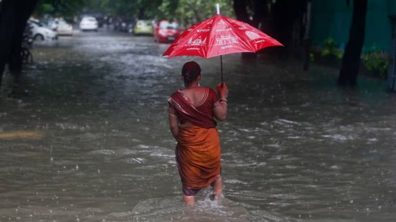 Light to moderate rain recorded in parts of eastern Rajasthan