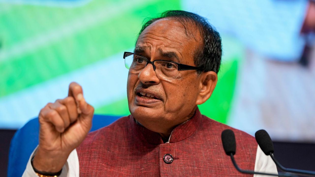 JMM-led govt ‘patronising’ infiltration, BJP to implement NRC if voted to power: Chouhan