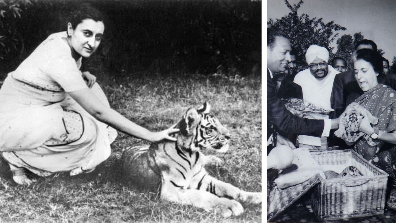 Indira Gandhi protected environment, which is under ‘systematic assault’ now: Ramesh