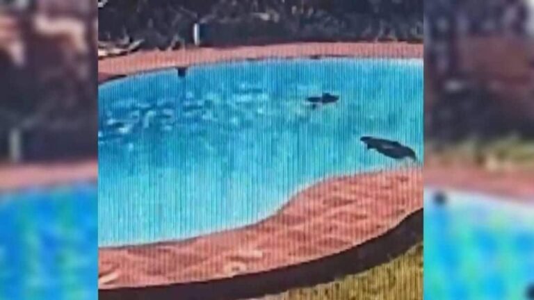 Three women drown in resort pool near Ullal beach in Karnataka; No lifeguard on duty