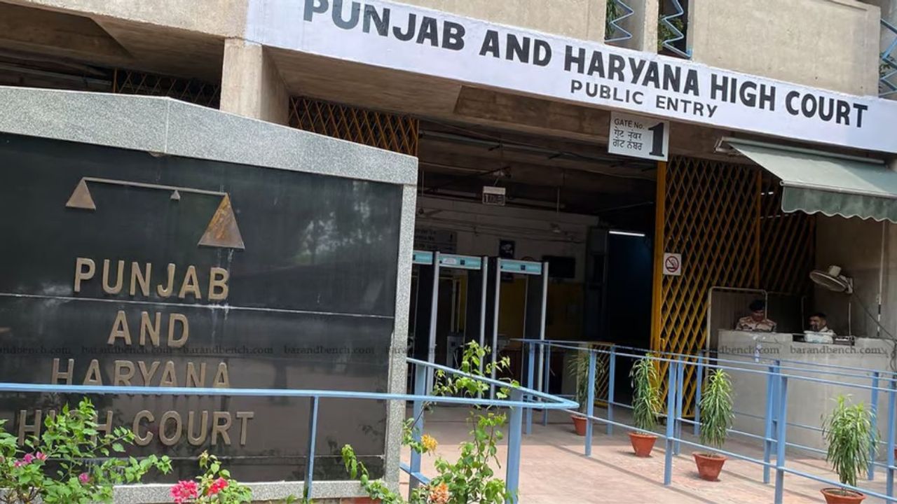 Punjab and Haryana HC issues notice to varsity on LLM student's plea over use of AI in exam