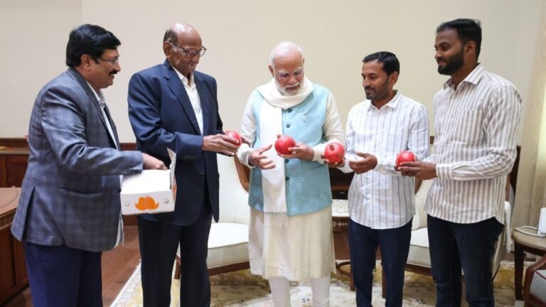 Sharad Pawar meets PM Modi along with two pomegranate farmers from Maharashtra