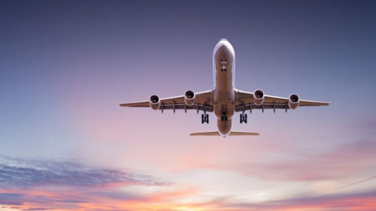 More planes, flights, airports to brighten Indian aviation in 2025; supply chain shadows remain