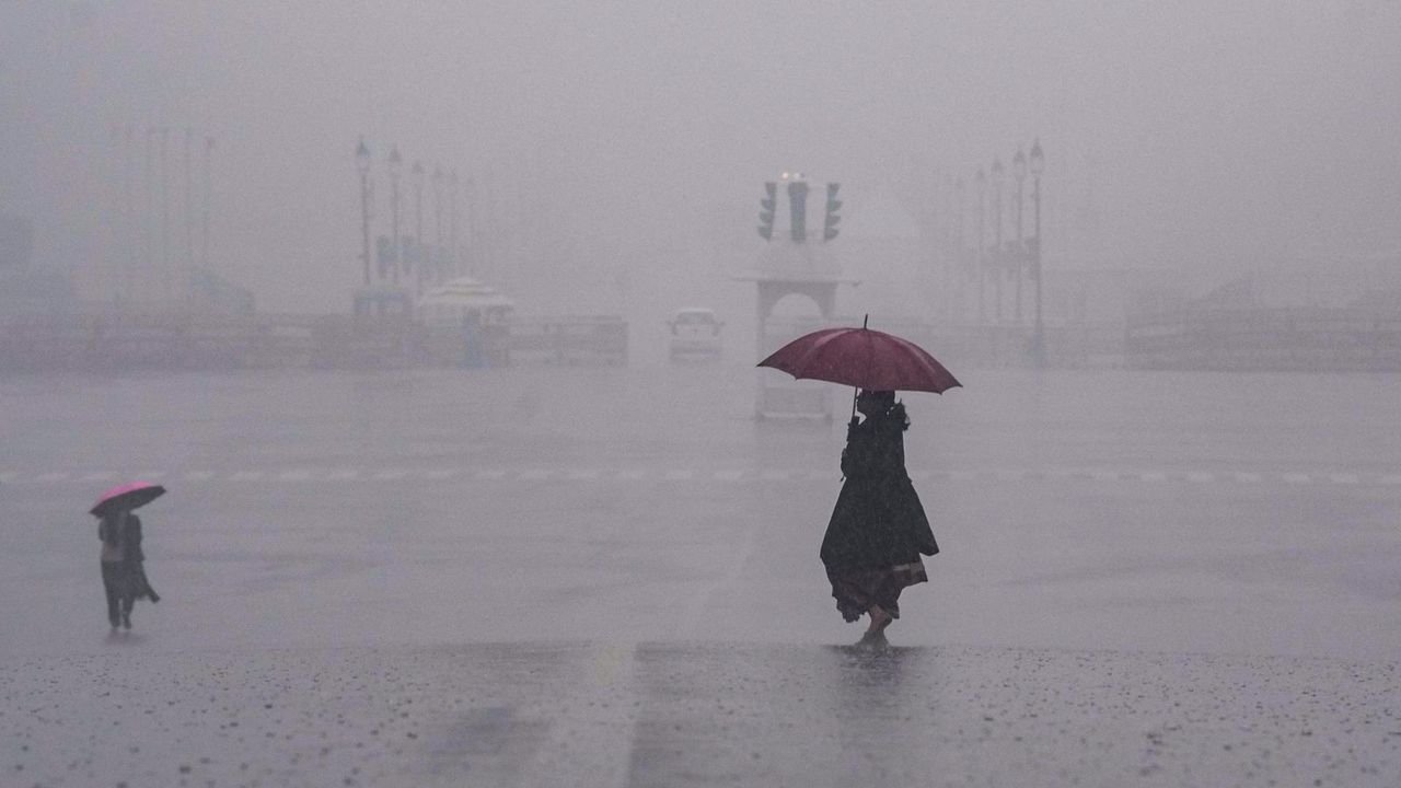 At 41.2 mm, Delhi records highest single-day Dec rainfall in 101 years