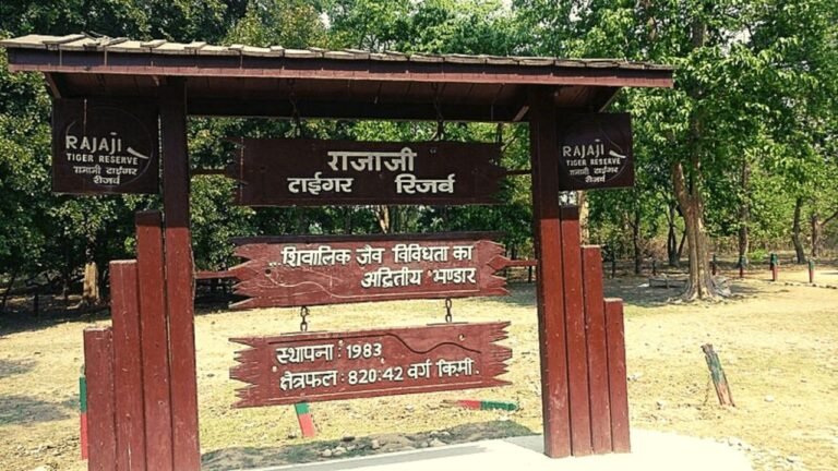 ‘Prima facie sponsored’: SC on plea against construction near Rajaji National Park