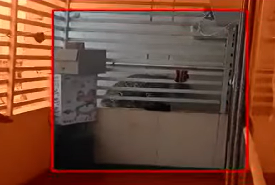 Bengaluru | Quick-Thinking Couple Traps Rogue Leopard in Home