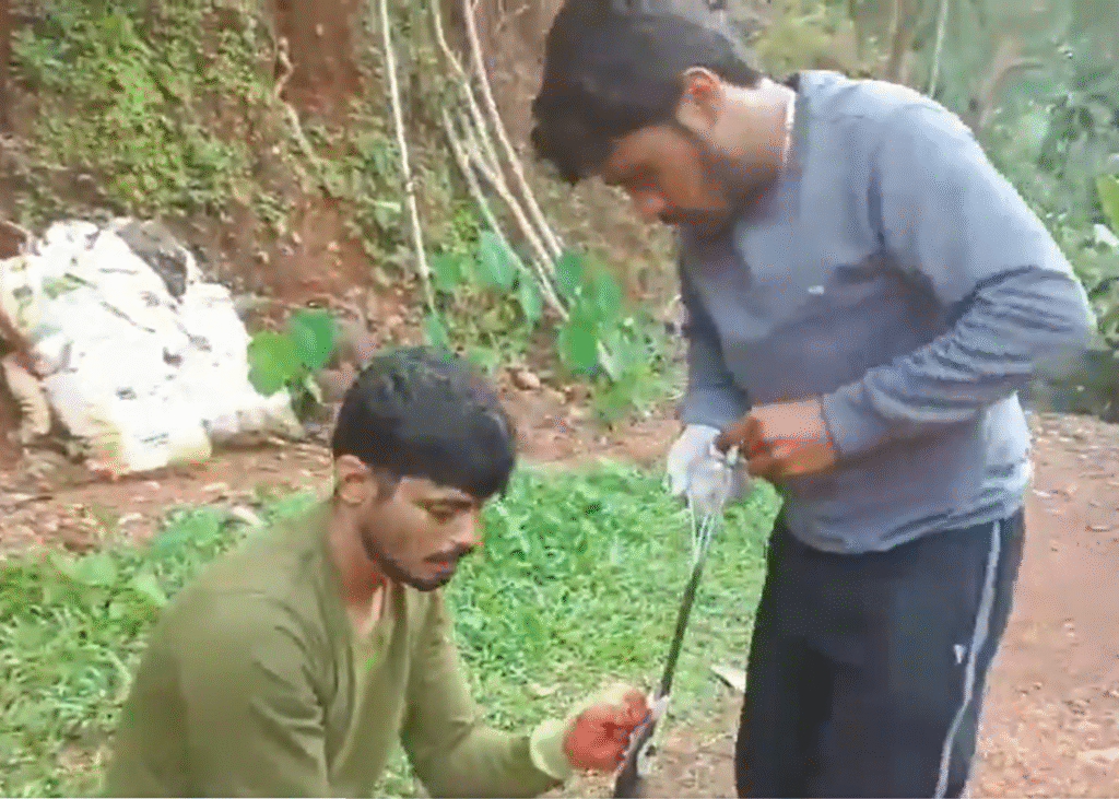 India | A Serpent’s Sharp Mistake: Cobra Ingests Knife in Bizarre Incident