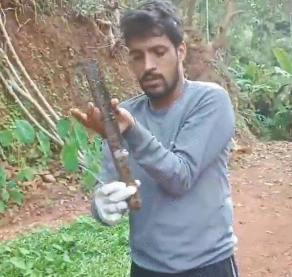 India | A Serpent’s Sharp Mistake: Cobra Ingests Knife in Bizarre Incident