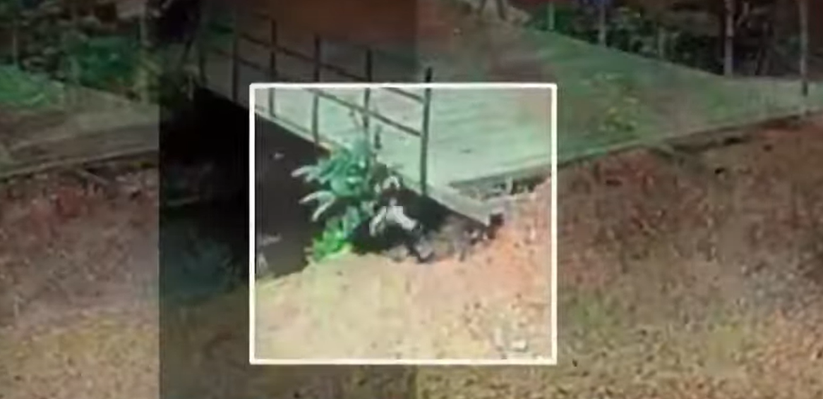 Karnataka Reels Under Heavy Rains: Two Lives Lost in Uttara Kannada