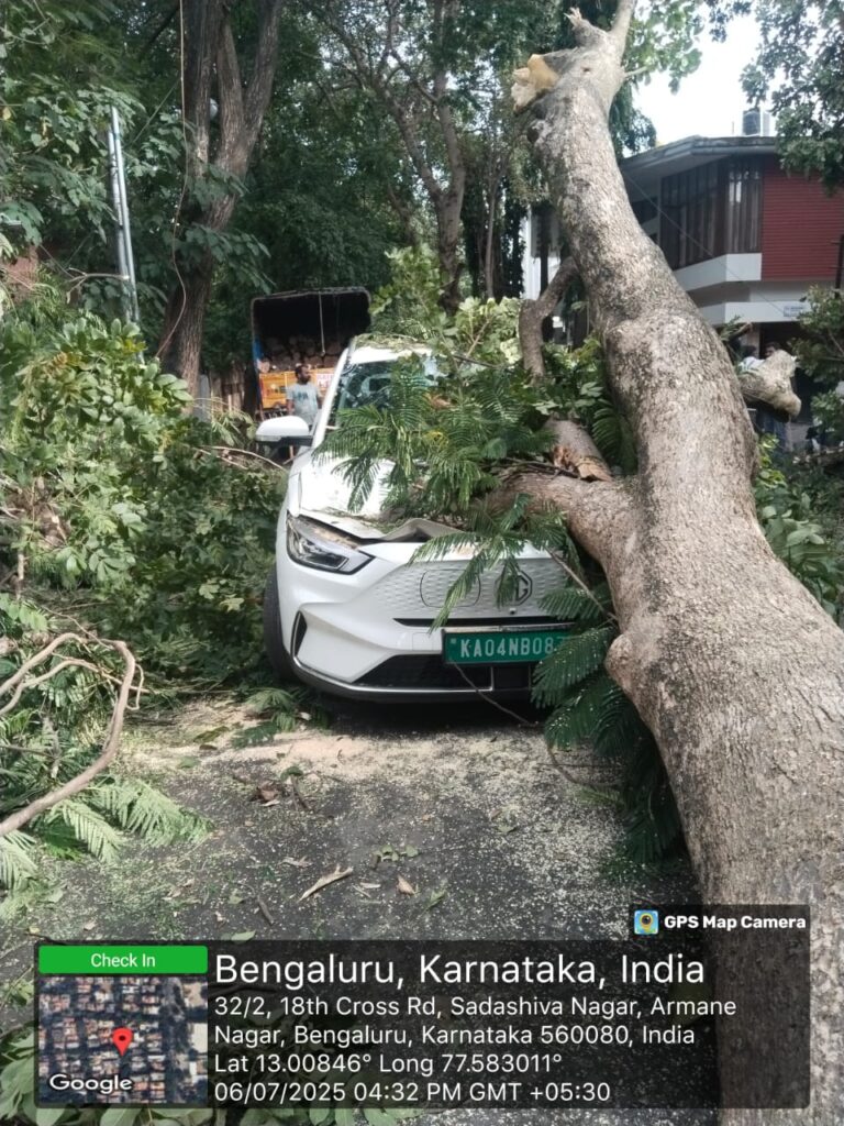 Tree Collapses Near DCM DK Shivakumar's Residence in Bengaluru, EV Damaged