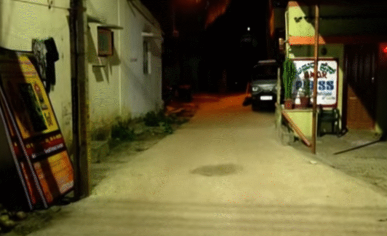 Pregnant Woman Found Dead in Bengaluru; Husband Missing After Staying with Body for Two Days