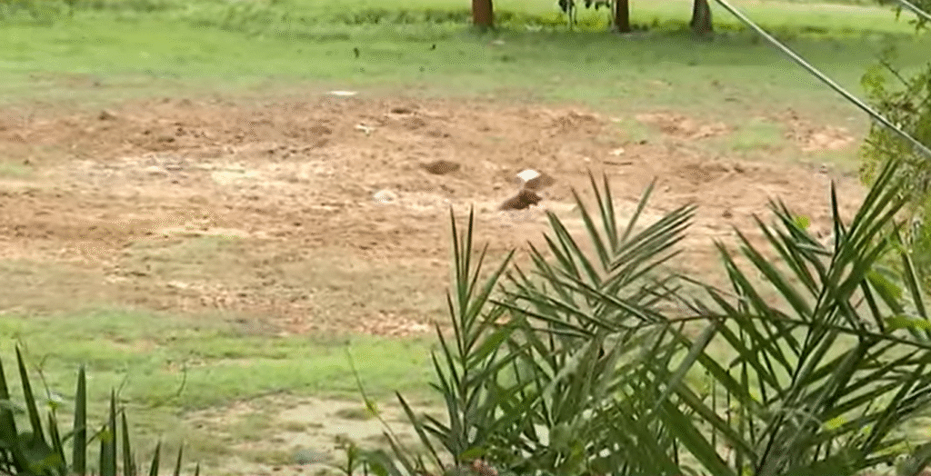 Vishnuvardhan Memorial at Abhiman Studio Demolished Overnight, Fans Express Outrage