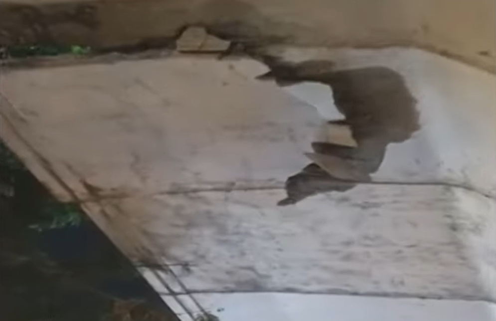Bengaluru Ejipura Flyover Scare: Cement Slab Falls on Auto, Driver Escapes Narrowly as Incomplete Project Raises Safety Concerns
