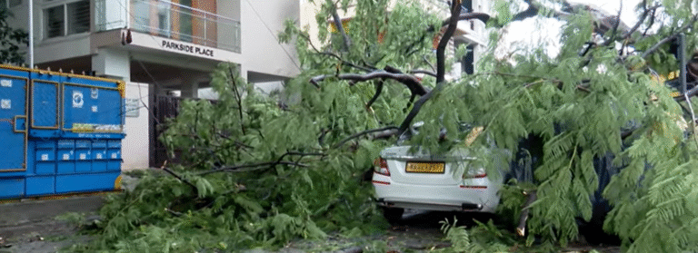 Bengaluru Rains Cause Havoc: Trees Uprooted, Roads Flooded, Vehicles Damaged in Overnight Downpour