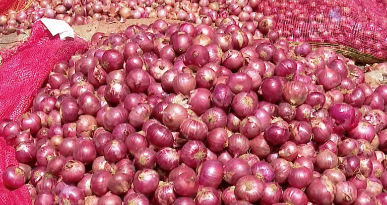 Onion