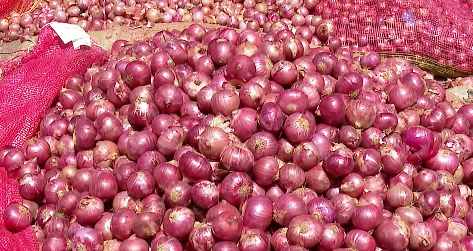 Onion