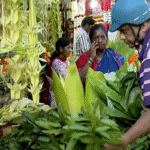 Bengaluru Dazzles in Diwali Spirit — Shoppers Crowd Markets Across the City for Flowers, Décor, and Festive Essentials