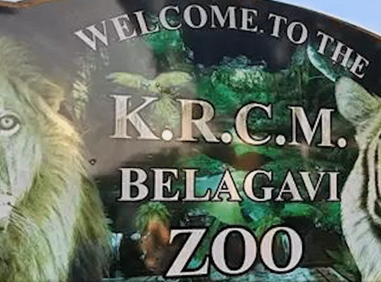 Belagavi: Another Blackbuck Death Raises Toll to 31 at Rani Chennamma Mini Zoo