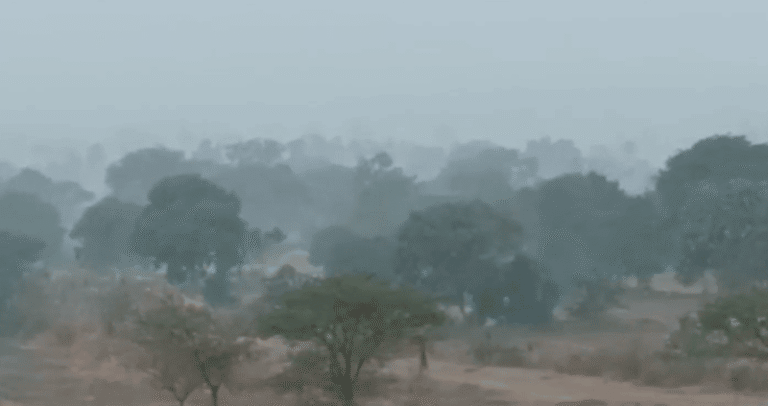 Severe Cold Wave Alert for North Karnataka: IMD Warns of Dangerous Chill in Bidar, Kalaburagi, Vijayapura, Raichur, Yadgir; Cold Wave to Continue for 2 Days