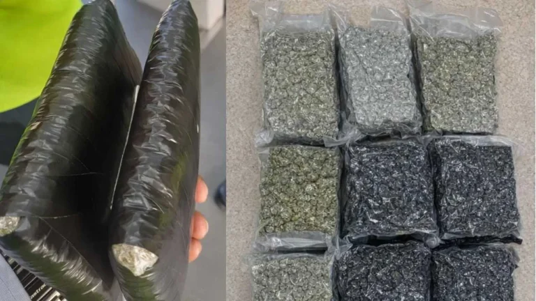 Hydroponic Ganja Smuggled from Thailand, Malaysia Seized at KIA