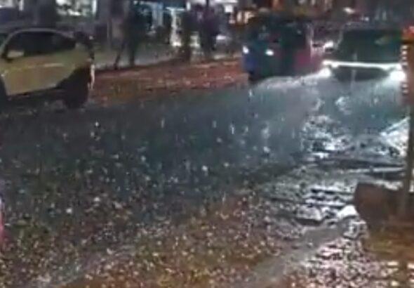 Screenshot_2026-03-19-07-58-12-75_0b2fce7a16bf2b728d6ffa28c8d60efb