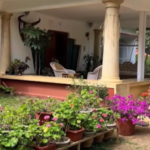 American Tourist Allegedly Sexually Assaulted at Kodagu Homestay; Staffer, Owner Arrested