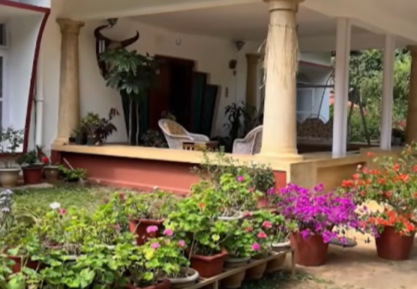 American Tourist Allegedly Sexually Assaulted at Kodagu Homestay; Staffer, Owner Arrested