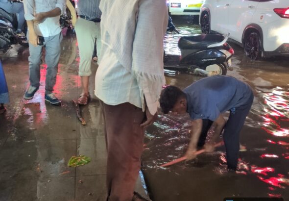 Bengaluru Rains: Civic Body Promises Resolution of Complaints Within 3 Hours; 77 mm Downpour Triggers Flooding, Tree Falls
