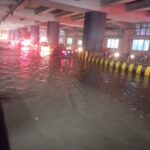 Pre-Monsoon Rains Expose Civic Gaps in Bengaluru: Tree Clearance Delays, Waterlogging Persist