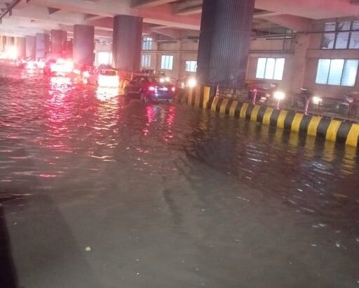 Pre-Monsoon Rains Expose Civic Gaps in Bengaluru: Tree Clearance Delays, Waterlogging Persist