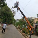Bengaluru Central City Corporation Intensifies Removal of Fallen and Dangerous Trees Across City