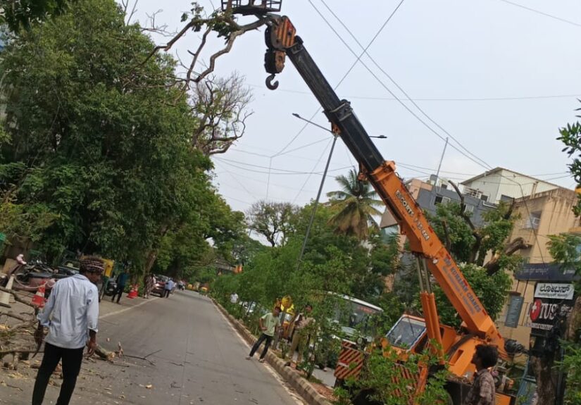 Bengaluru Central City Corporation Intensifies Removal of Fallen and Dangerous Trees Across City