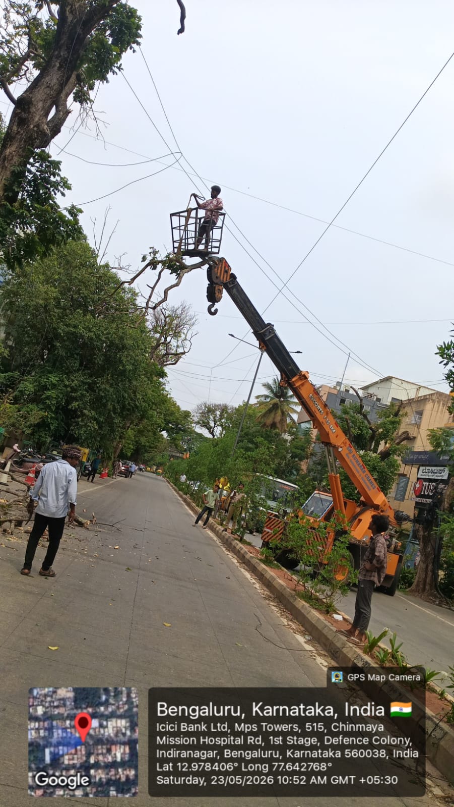 Bengaluru Central City Corporation Intensifies Removal of Fallen and Dangerous Trees Across City