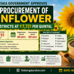 Karnataka Govt Approves MSP Procurement of Sunflower in 11 Districts at ₹7,721 Per Quintal