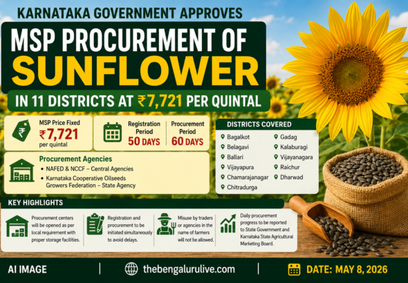 Karnataka Govt Approves MSP Procurement of Sunflower in 11 Districts at ₹7,721 Per Quintal