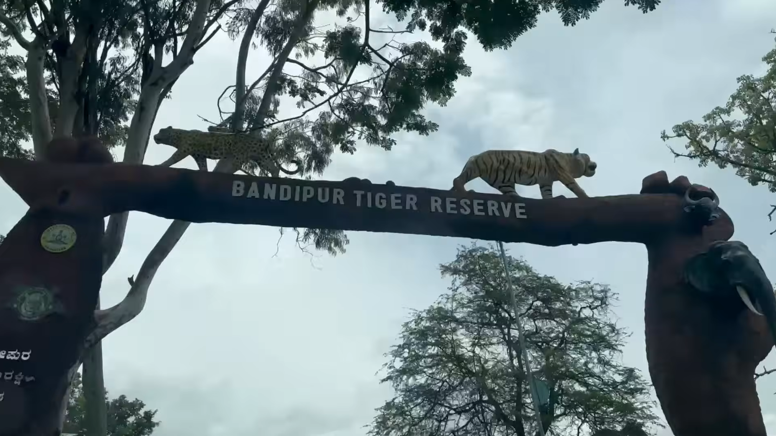Karnataka Government Approves Full-Scale Resumption of Jungle Safari at Bandipur and Nagarahole Tiger Reserves