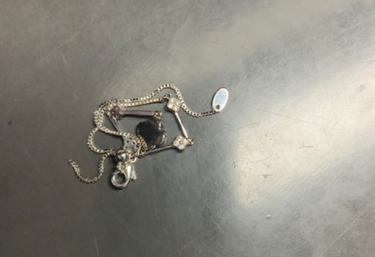 Metal Chain Stuck in Train Door Caused Temporary Disruption at Cubbon Park Metro Station, Preliminary Probe Finds