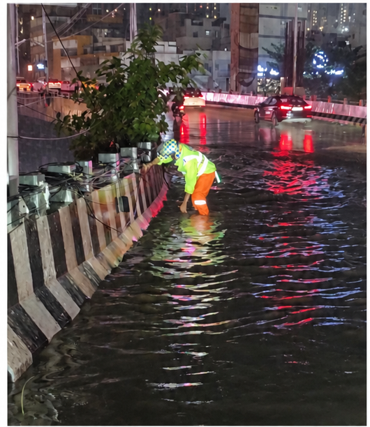Bengaluru Records 24.2 mm Rain, GKVK Gets 46.5 mm; More Thundershowers Likely Over Next 48 Hours