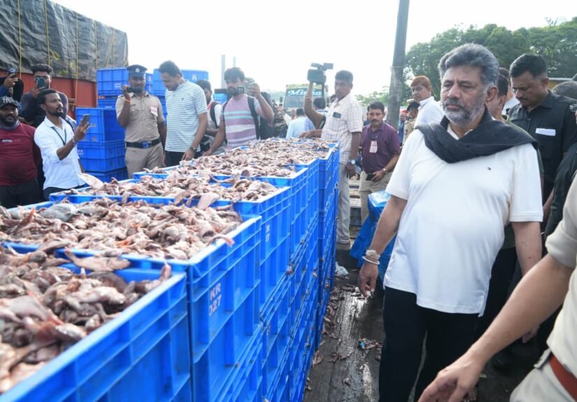 DK Shivakumar Orders Probe After Mangaluru Fishing Harbour Trade Halted During Surprise 6 AM Visit; Warns Officials of Suspension