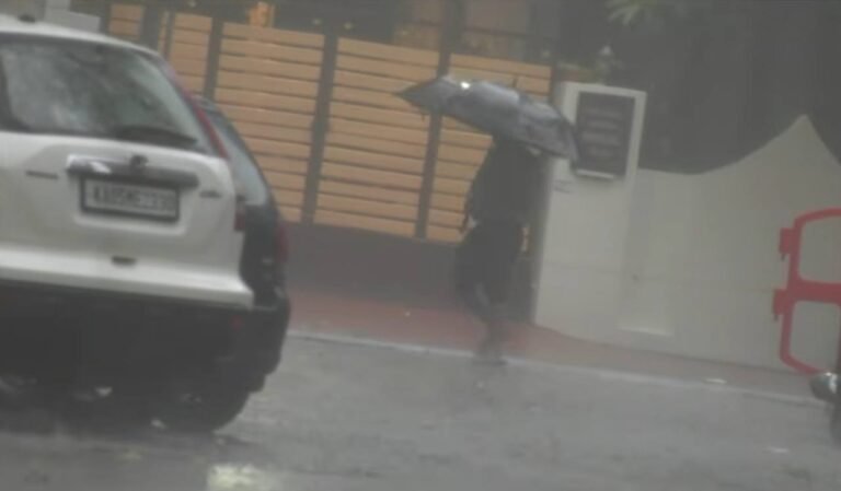 A person carrying an umbrella beside vehicles on a rain-soaked street
