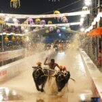 A Kambala runner and two buffaloes race along the illuminated Mysuru Dasara track