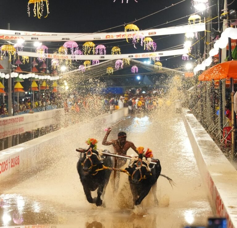 A Kambala runner and two buffaloes race along the illuminated Mysuru Dasara track