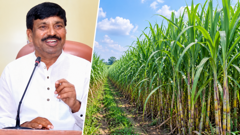 AI-assisted collage based on the supplied portrait of Rudrappa Lamani, with an AI-generated representational sugarcane field.