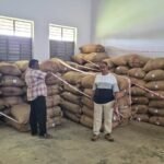 Seized arecanut bags stored in a godown in Kolar, with two men standing beside the consignment