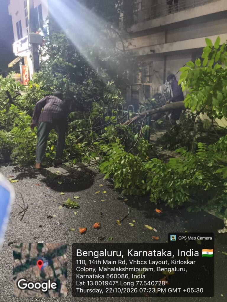People clearing tree branches from a wet roadside in Mahalakshmipuram, Bengaluru, on October 22, 2026